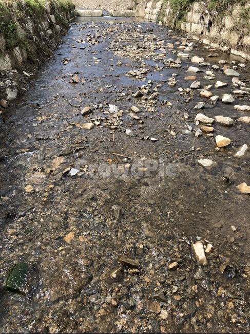 내천,물,강,흐르는,시골,하천,시냇물,돌,가을,자연,풍경,자연,풍경,nature,landscape,ground,바닥,gravel,자갈,road,도로,dirt road,흙길,rubble,파편