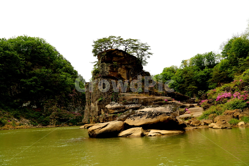 호수,강,나무,풍경,물,자연,풍경,nature,landscape,한국자연풍경,한국자연경관,korea nature landscape,outdoors,옥외,land,땅,water,shoreline,해안선,sea,바다,ocean,대양