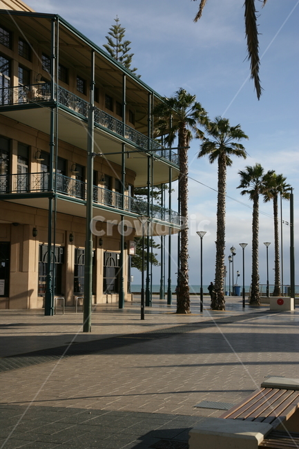 downtown,도심,city,시티,town,건물,building,어반,urban,도시,tree,나무,plant,arecaceae,야자수,palmtree