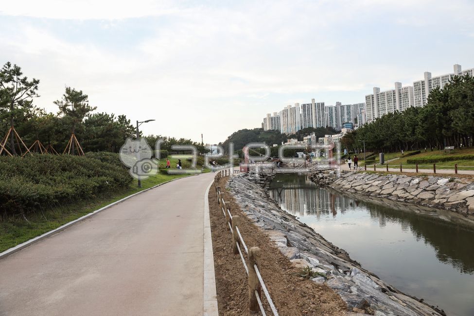 한국,부산,다대포,다대포해수욕장,해솔길,자연,물,강,휴식,관광명소,road,도로