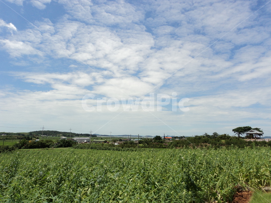 하늘,구름,sky,cloud,풍경,자연,풍경,nature,landscape,outdoors,옥외,field,들,grassland,목초지,farm,농장,rural,농촌