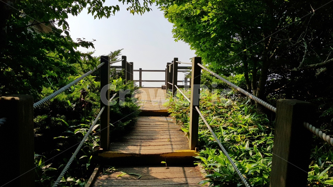 사라오름,기대,기대감,절정,숲