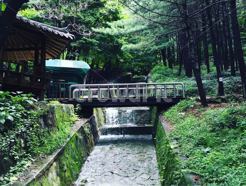 풍경,자연,산,다리,물
