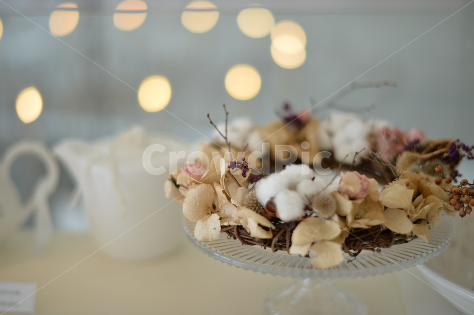 까페,드라이플라워,보케,빛망울,화이트,하얀,하얀색,말린꽃,감성,까페감성,카페,사물,물건,오브젝트,thing,object,matter