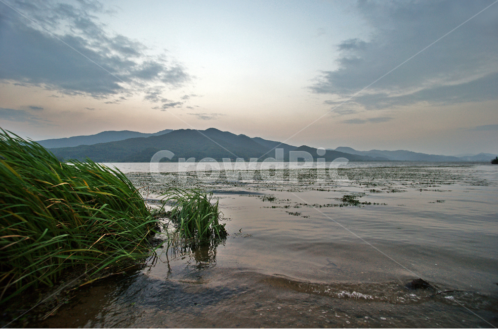 양수리,두물머리,강,정암산,북한강,양평,산,자연