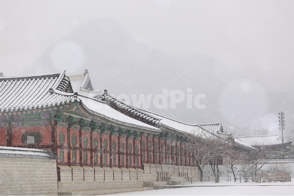 겨울,눈,설경,경복궁,궁,한국,전통,winter,snow,palace,korea,tradition,겨울,계절,winter,season,한국전통,한국문화,korean traditional,korean culture,랜드마크,landmark,tourist attraction,한국랜드마크,한국관광지,한국명소,korea landmark,korea tourist attraction,건축물,건물외관,exterior,building,structure,architecture,construction