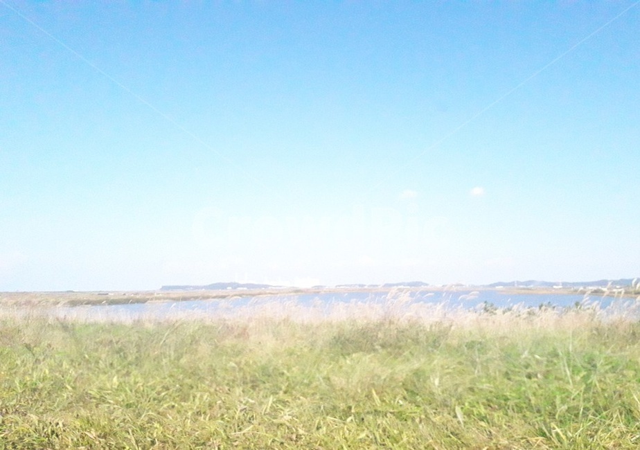 outdoors,옥외,가을,하늘,풀숲,자연,풍경,nature,landscape