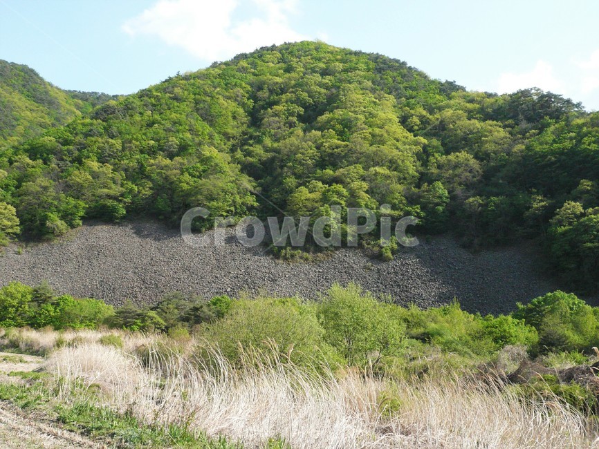 봄,봄풍경,신록,자연풍경,한국풍경,자연,풍경,nature,landscape,slope,경사,road,도로,gravel,자갈,dirt road,흙길,outdoors,옥외,land,땅