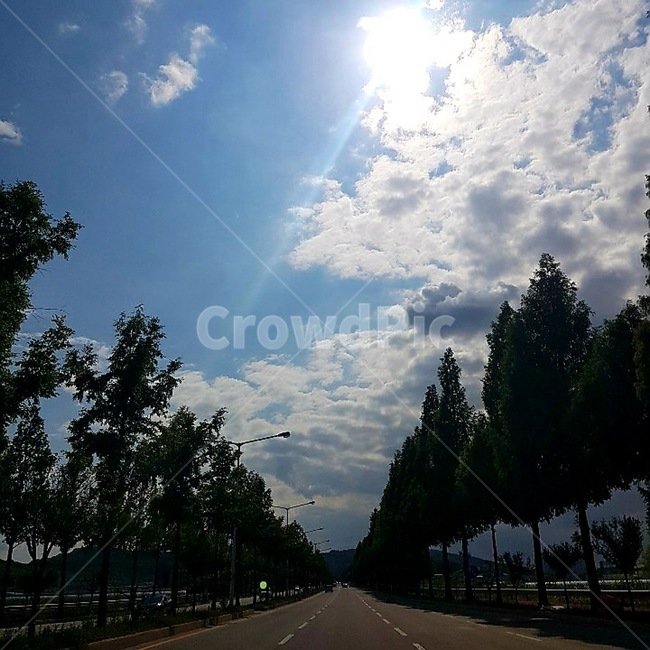 road,도로,highway,freeway,아스팔트,tarmac,고속도로,자연,풍경,nature,landscape,고속 도로,asphalt