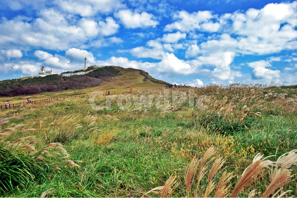 우도,섬,제주도,관광지,우도봉,분석구,억새,자연,풍경,nature,landscape,outdoors,옥외