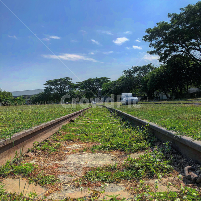철도,레일,rail,railway,기찻길,dirtroad