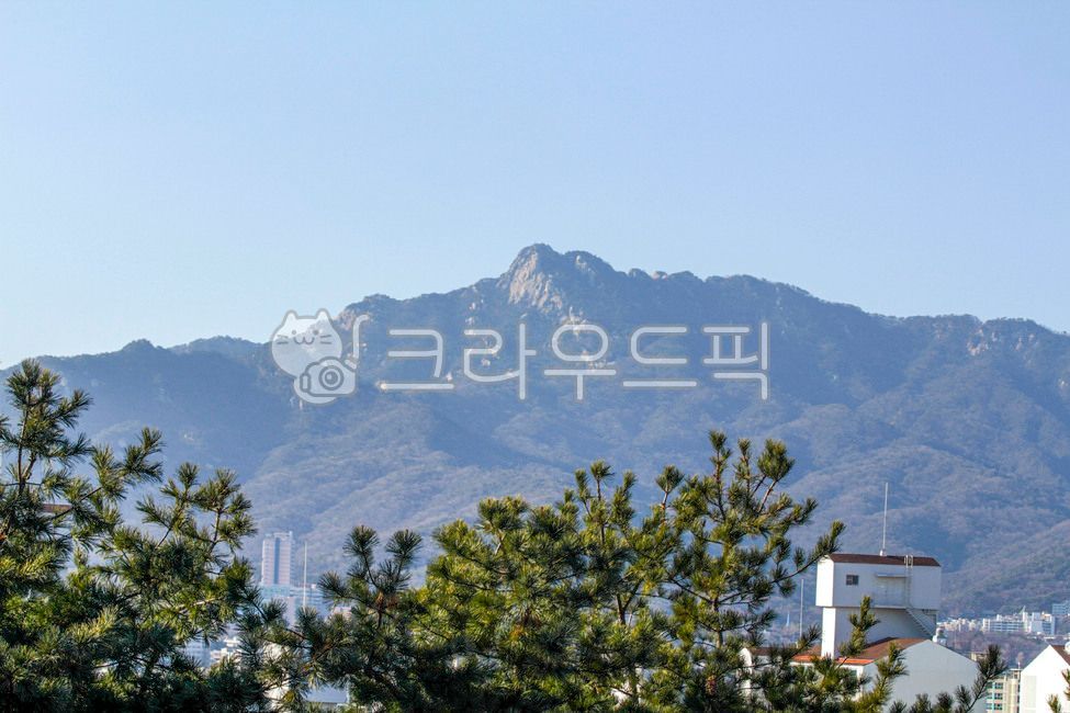 서울,성북구,개운산,개운산공원,북한산,산맥,산,옥외,자연,나무,건물,mountainrange,mountain,outdoors,nature,tree,building