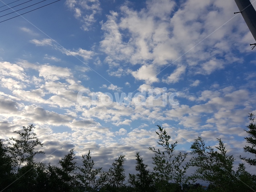 하늘,구름,나무,자연,여름,자연,풍경,nature,landscape