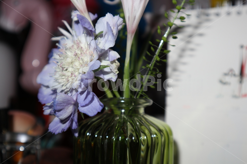 꽃,꽃병,보라색,flower,식물