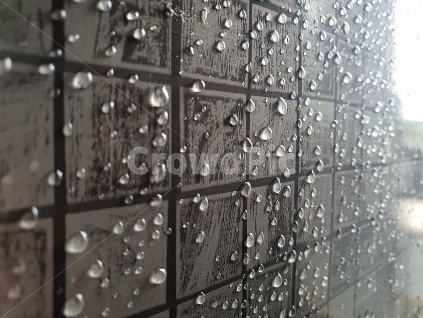 빗물,물방울,비오는날,장마,배경이미지,비,비오는날,rain,rainy