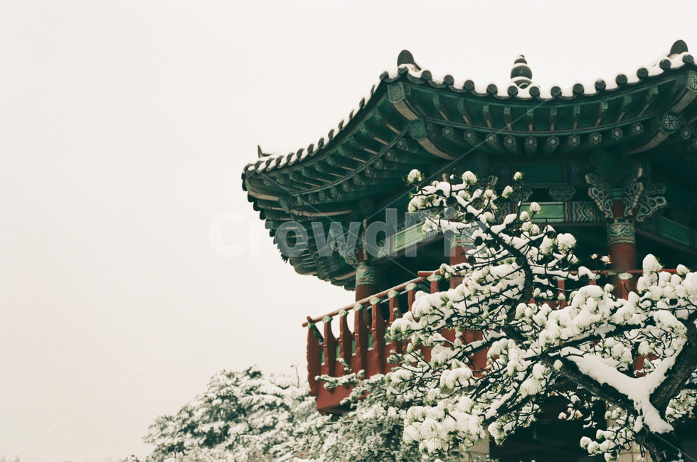 눈,정자,한국,전통,산,소나무,자연,겨울,겨울,계절,winter,season,한국전통,한국문화,korean traditional,korean culture,건축물,건물외관,exterior,building,structure,architecture,construction