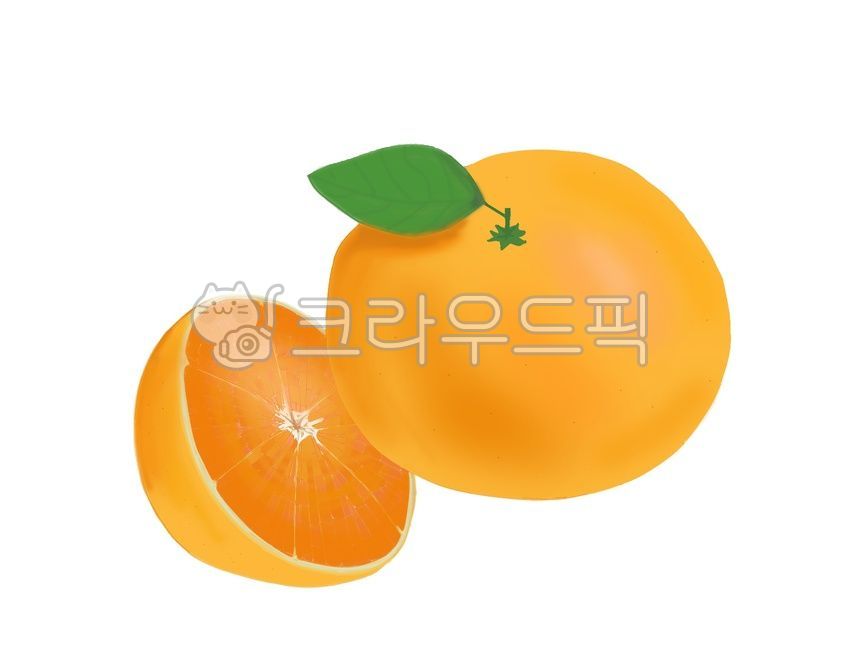 plant,과일,귤,귤이모티콘,food,음식,fruit,식물,이모티콘