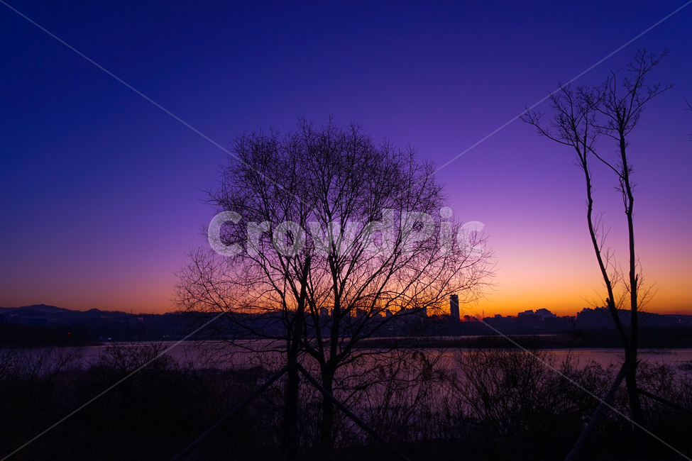 호수,여명,해돋이,새벽,감성,겨울,계절,풍경,야경,밤,풍경,nightscape,night,landscape,도시,city,식물,자연,plants,nature,나무,trees,wood,실루엣,그림자,silhouette,shadow,outdoors,옥외,sky,하늘,red sky,붉은 하늘,dusk,황혼,dawn,sunset,일몰
