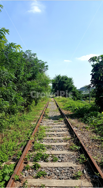 철도,기찻길,기차,기차역,시골풍경,자연,풍경,nature,landscape,railway,train track,rail,레일,transportation,교통