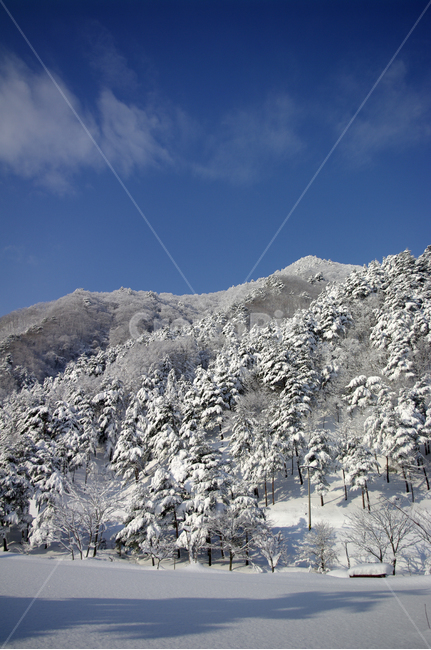 겨울,눈,설경,풍경,산,겨울산,설산,겨울,계절,winter,season