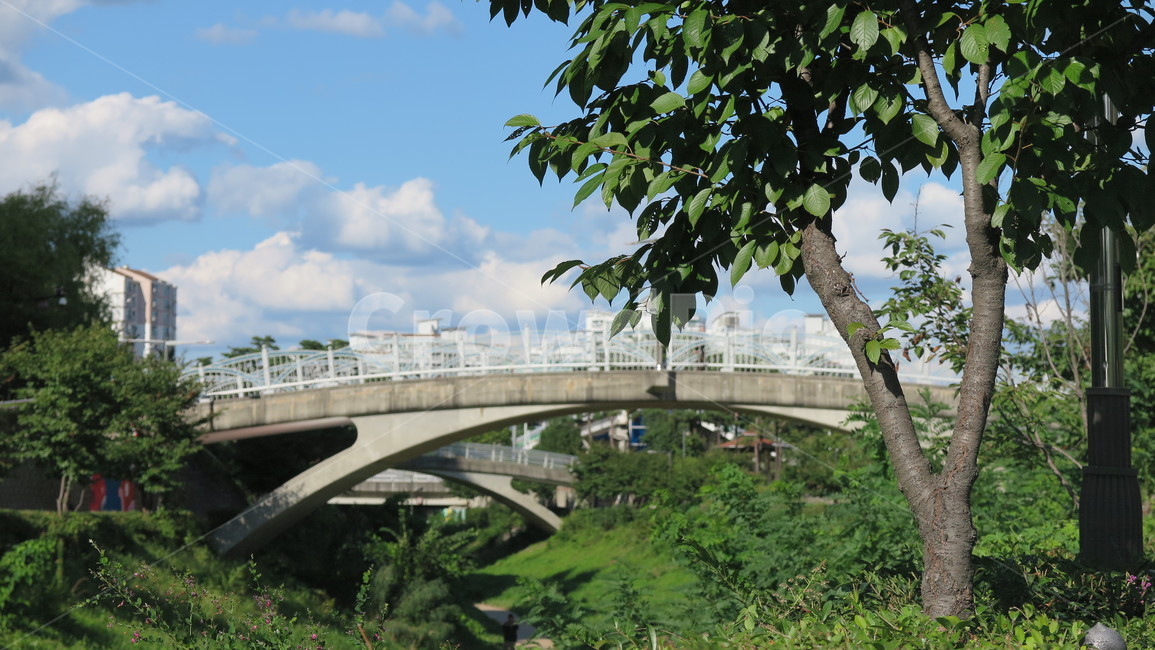 가을,다리,하천,나무,하늘,도시,풍경,city,landscape,road,도로,freeway,고속 도로