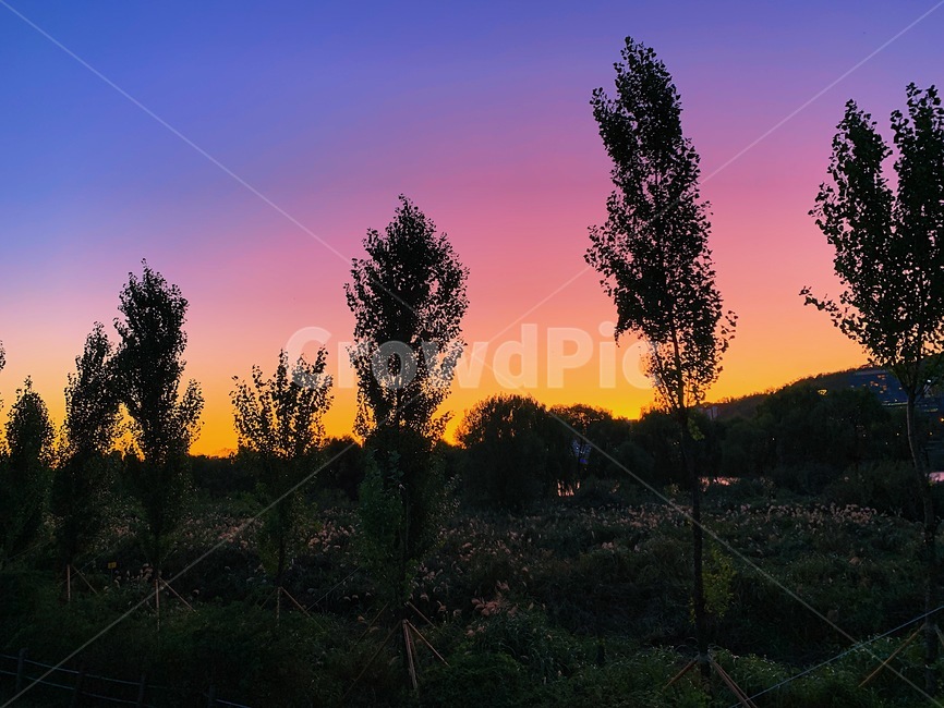 일몰,황혼,석양,가을,풍경,자연,숲,공원,nature,landscape,sunset,자연,풍경,nature,landscape,outdoors,옥외,red sky,붉은 하늘,sky,하늘,dusk,dawn,새벽