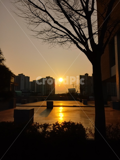 일출,해돋이,태양,옥외,자연,나무,붉은하늘,햇빛,하늘,빛,새벽,sunset,outdoors,sunlight,nature,redsky,sky