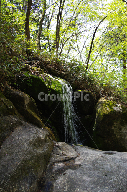 계곡,나무,식물,plant,봄,spring,초록,폭포,자연,풍경,nature,landscape,water,물,river,강,outdoors,옥외,waterfall