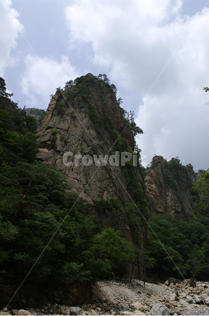 산,계곡,바위,풍경,나무,설악산,자연,풍경,nature,landscape,cliff,낭떠러지,outdoors,옥외