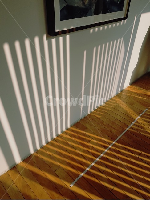 banister,난간,자연광,자연빛,그림자,패턴,빛,light