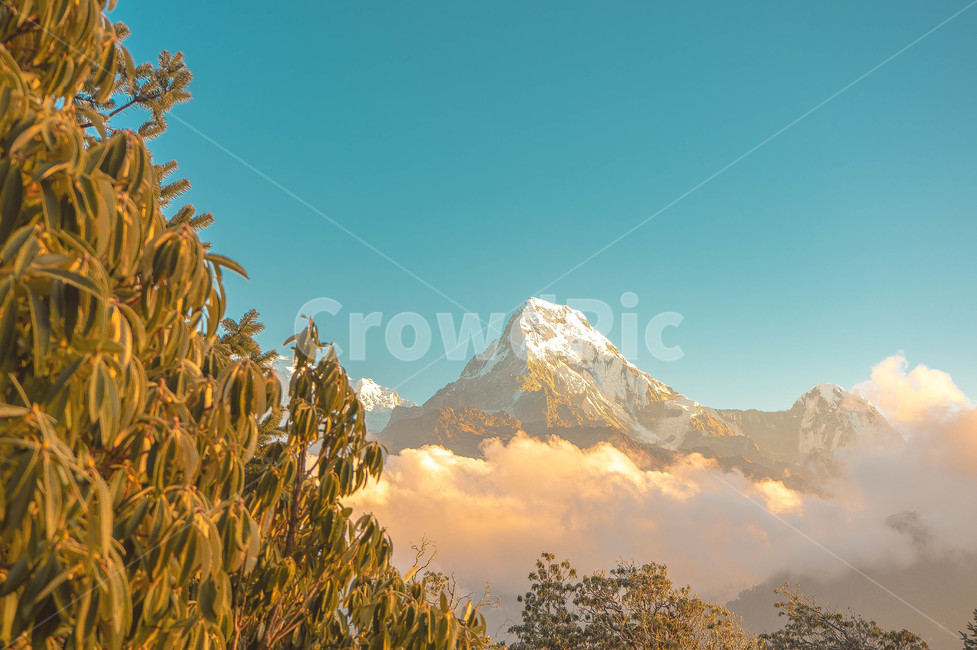 mountainrange,산맥,nature,자연,mountain,산,outdoors,옥외,peak,피크,구름,sky,설산,눈,cloud,나무,아침,morning,일출,sunrise,자연,풍경,nature,landscape,해외,외국,세계,foreign,oversea,world,세계자연풍경,해외자연풍경,외국자연풍경,world nature landscape