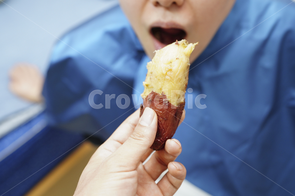 고구마,간식,음식,영양식,주전부리,먹거리,푸드,food