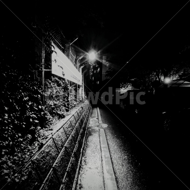 밤길,흑백,비,Rain,가로등,감성,감성사진,비,비오는날,rain,rainy,도시,풍경,city,landscape,흑백,모노톤,monochrome,black and white,path,통로,rail,레일,railway,철도,transportation,교통,train track,기찻길