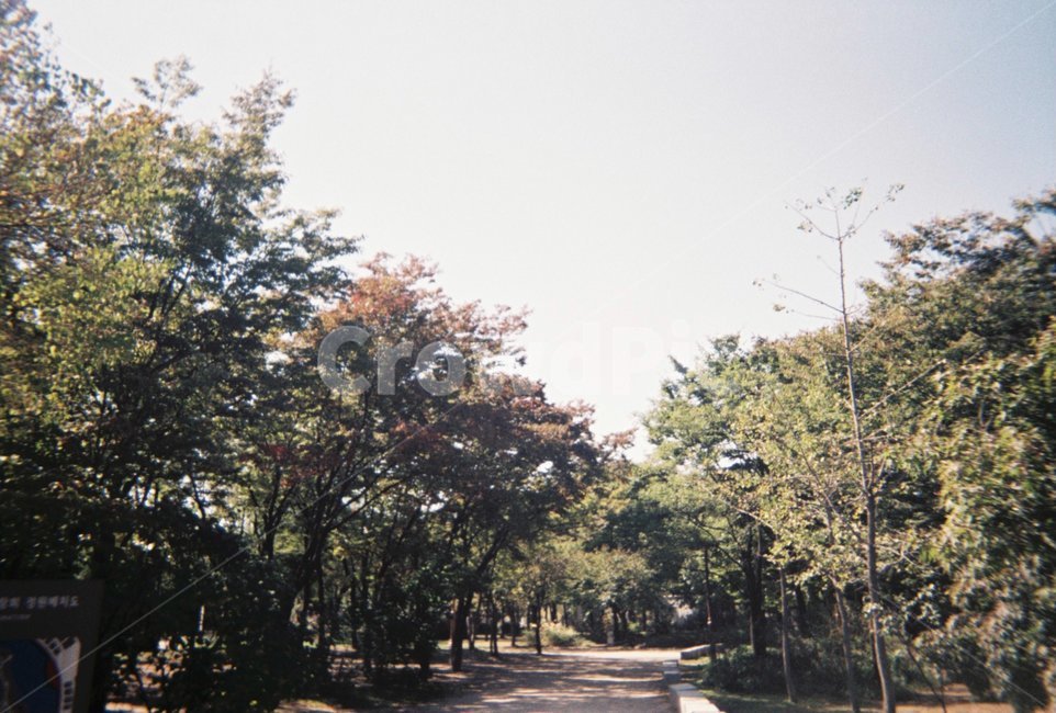 가을,나무,하늘,풍경,자연,자연,풍경,nature,landscape,outdoors,옥외,tree,plant,식물