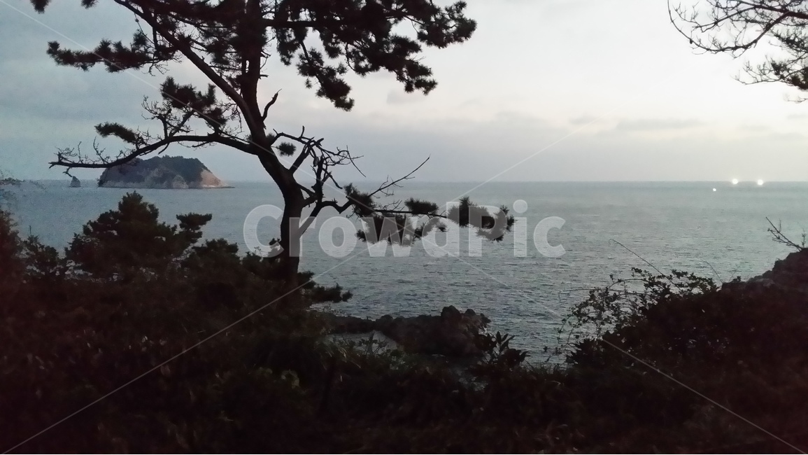 바다,섬,자연,풍경,나무,sea,sky,rock,cloud,island,제주도,jeju,풀,nature,구름,자연,풍경,nature,landscape,한국자연풍경,한국자연경관,korea nature landscape,outdoors,옥외,water,물,tree,plant,식물,경치,land,땅