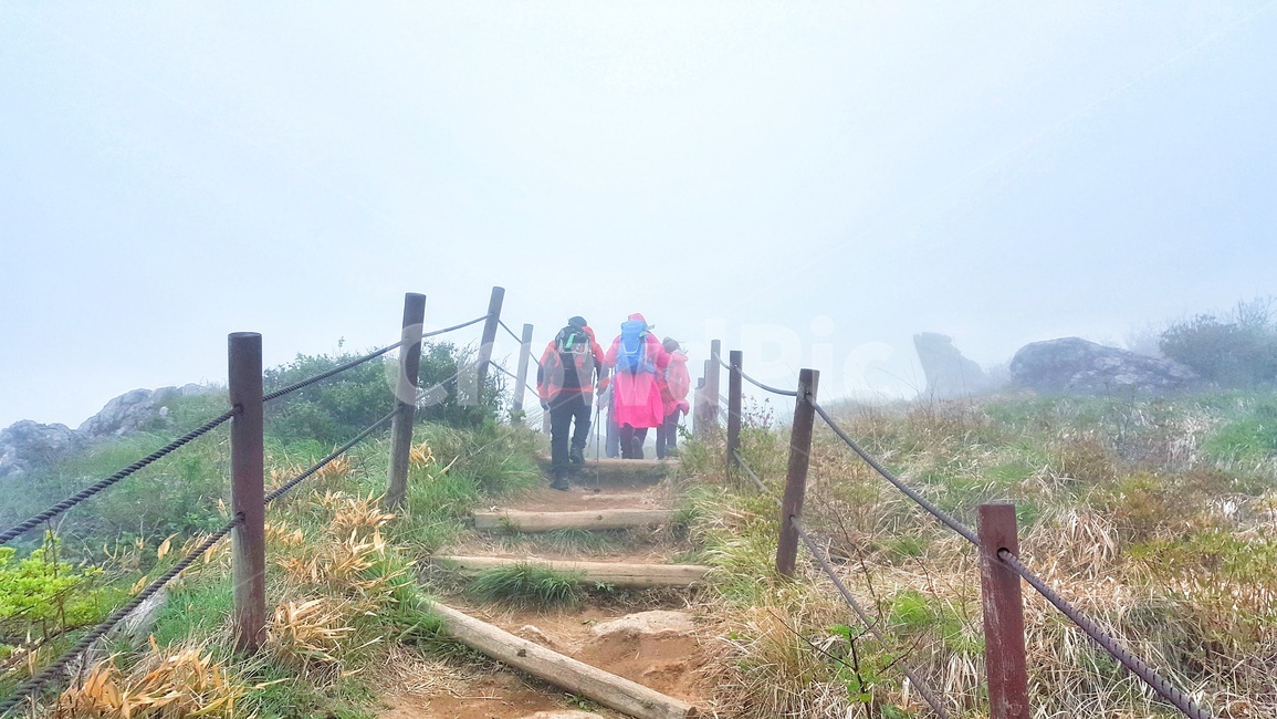 산행,운무,구름,등산,안개,자연,경치,길,풍경,봄,한국자연풍경,새벽,초록,동행,산,울타리,힐링,landscape,nature,sports,레져,스포츠,운동,계단,하늘