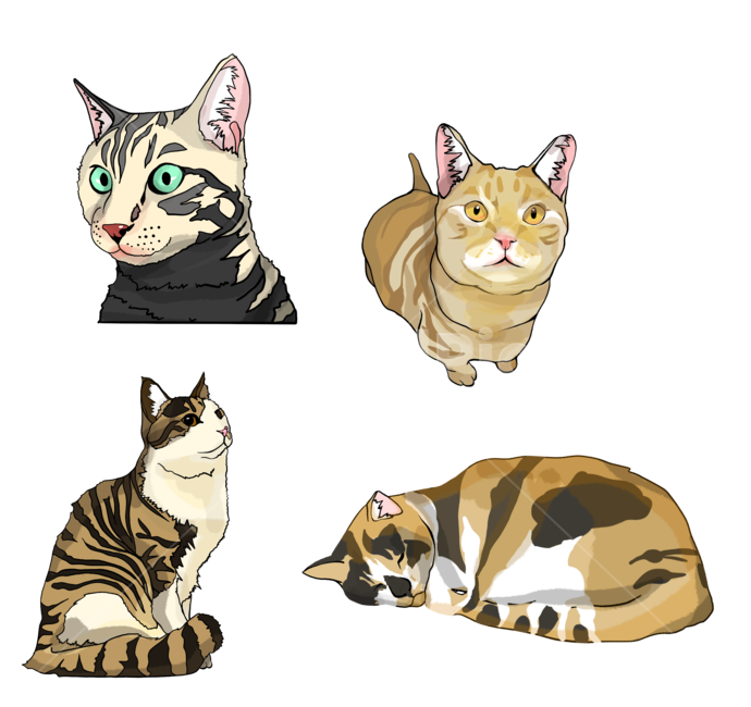 고양이,고양이그림,고양이일러스트,일러스트,cat,catillustration,illustration,annamalillustration,동물,animal,포유류,mammal,고양이,cat,kitten,kitty,그래픽,일러스트레이션,graphic,illustration