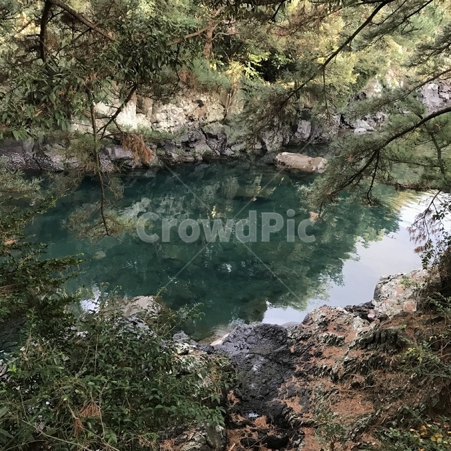 제주도,쇠소깍,제주도쇠소깍,호수,비갠뒤,맑은호수