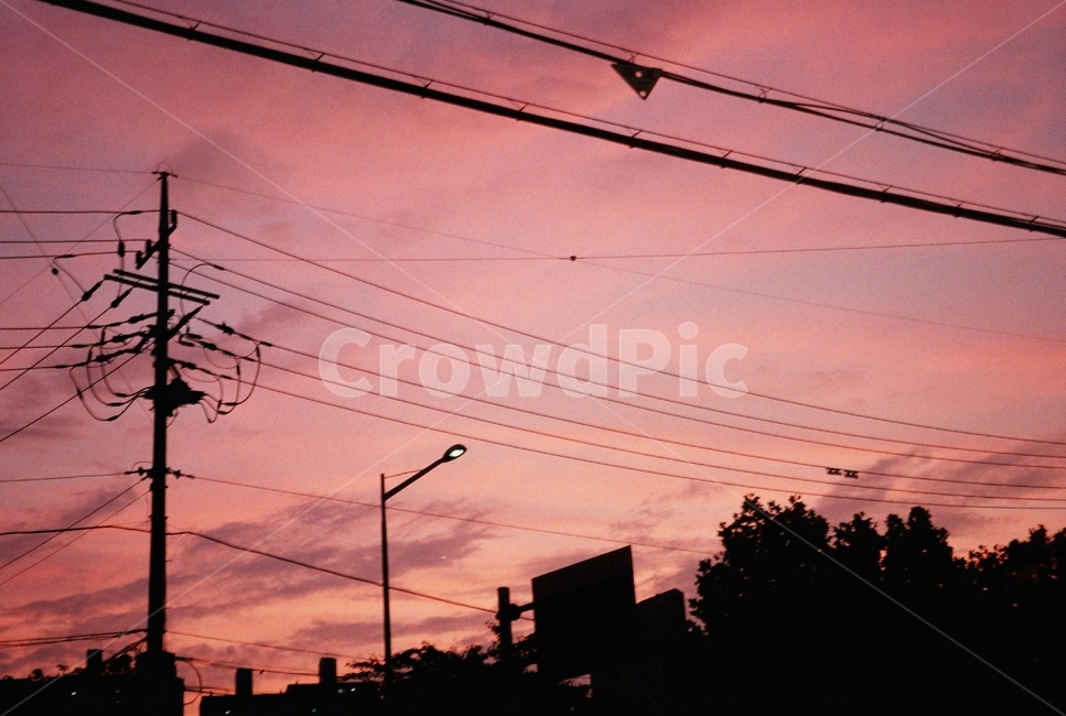 노을,분홍색,하늘,필름,감성,구름,핑크,pink,film,sky,mood,도시,풍경,city,landscape,실루엣,그림자,silhouette,shadow,색깔,색상,색채,색감,color sense,color sensitivity,feeling of color,cable,케이블