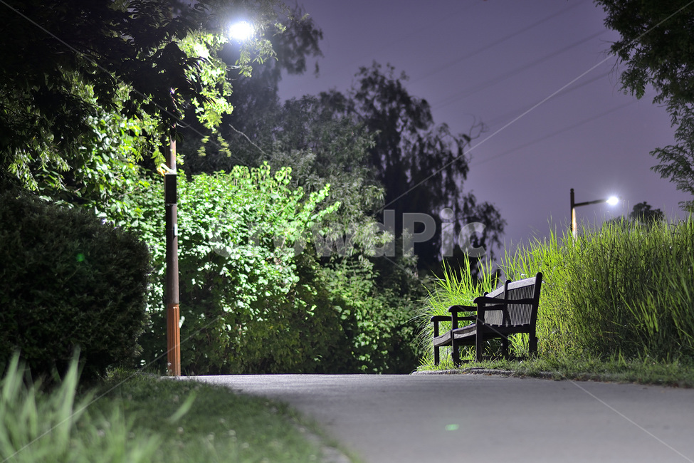 가로등,의자,길,선유도공원,한강공원,야경,밤풍경,자연,풍경,nature,landscape,야경,밤,nightscape,night,asphalt,아스팔트,bench,벤치,furniture,가구