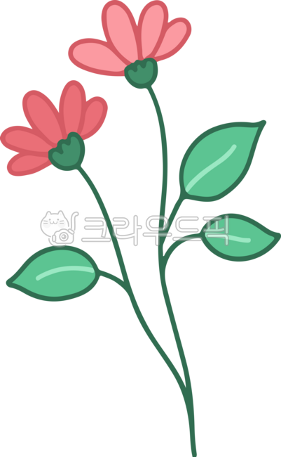Simple,simple,illustration,outline,cute,flower,bouquet,cosmos,bloom,spring,garden,flower shop