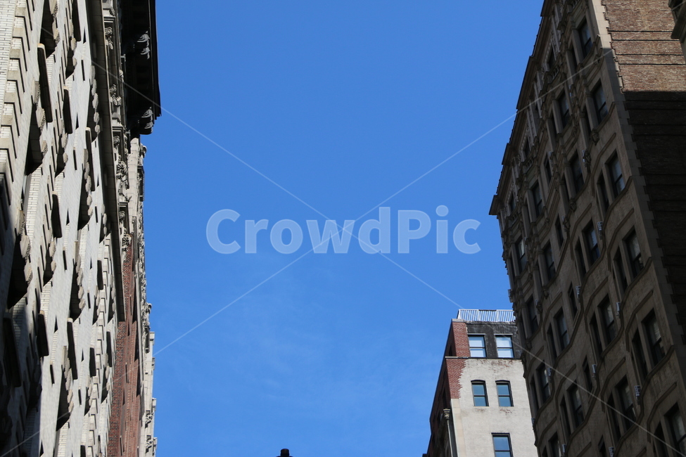 뉴욕,newyork,미국,건축,건물,뉴욕5번가,하늘,도시,풍경,city,landscape,해외,외국,세계,foreign,oversea,world,세계도시풍경,해외도시풍경,외국도시풍경,world cityscape