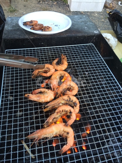 새우,구이,캠핑,캠핑장,화로,바베큐,대하
