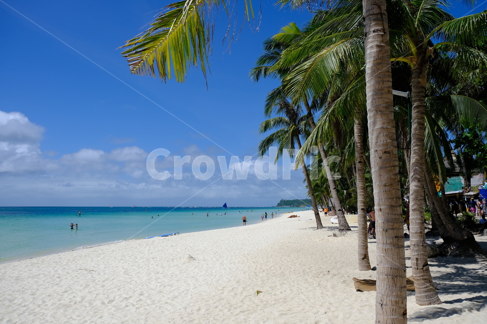 보라카이,화이트비치,비치,바다,해안가,동남아,야자수,boracay,philippines,whitebeach,beach,모래사장,바닷가,파도,여름,summer,tropical