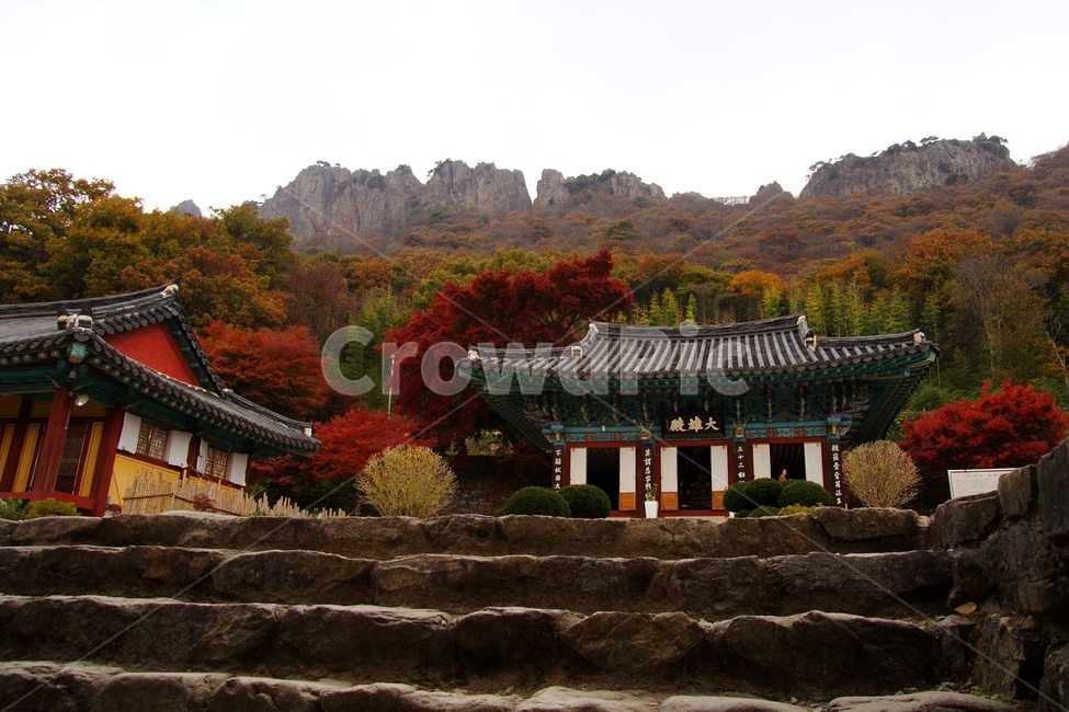 내장산,단풍,가을,붉은,빨간,red,maple,autumn,fall,나들이,단풍구경,산,mountain한국,전통,한국전통,건축물,traditional,아시아,asia,기와,처마,단청,절,temple,가을,계절,fall,autumn,season,한국전통,한국문화,korean traditional,korean culture,종교,신앙,religion,belief,faith,신전,architecture,building,건물,worship,예배,shrine,신사,pagoda,탑