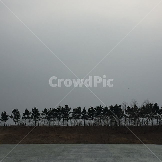 자연,나무,하늘,흐린날,길,자연,풍경,nature,landscape