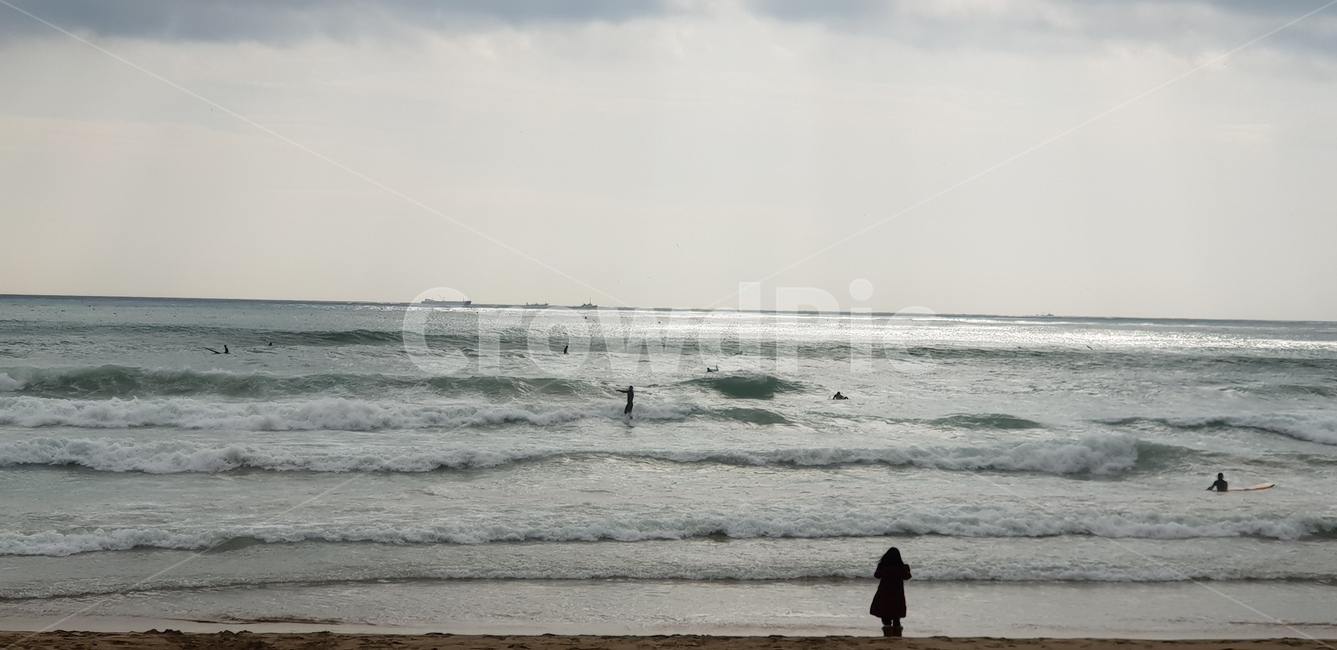 가을,서핑,파도,서퍼,surfer,surfing,ocean,대양,nature,자연,water,sea,바다,human,person,인간,사람