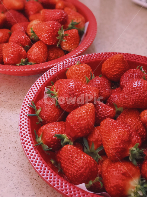 딸기,과일,음식,디저트,바구니,빨강,생과일,식물,열매,후식,푸드,신선,비타민,fruit,nature,strawberry,food,red,fresh,음식,식재료,요리,food,cook,meal,dishes,food reserves,과일,열매,fruit