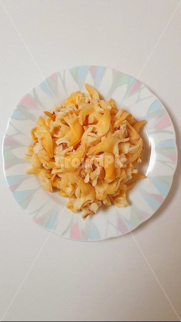 조갯살,조개,생물조갯살,해산물,어패류,음식재료,요리재료,clammeat,foodingredients,food,sand,바다,모래,음식,식재료,요리,food,cook,meal,dishes,food reserves