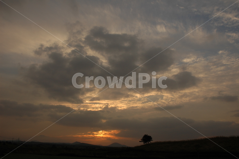 nature,자연,outdoors,jejuisland,제주도,autumn,가을,sky,하늘,sunset,석양